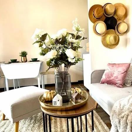 Le Muretain Parking Gartuit *